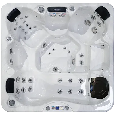 Avalon EC-849L hot tubs for sale in Kalamazoo