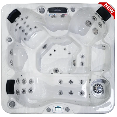 Avalon-X EC-849LX hot tubs for sale in Kalamazoo