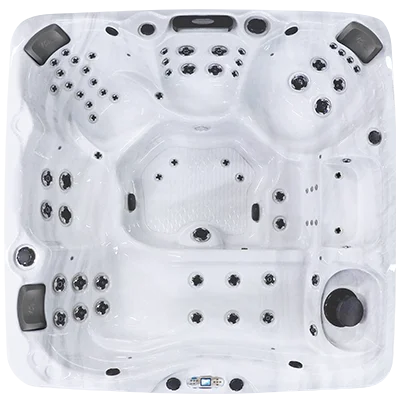 Avalon EC-867L hot tubs for sale in Kalamazoo