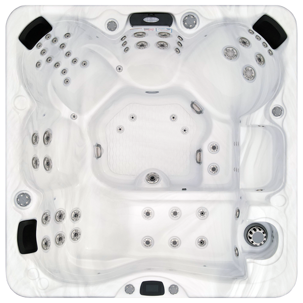 Avalon-X EC-867LX hot tubs for sale in Kalamazoo