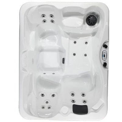 Kona PZ-519L hot tubs for sale in Kalamazoo