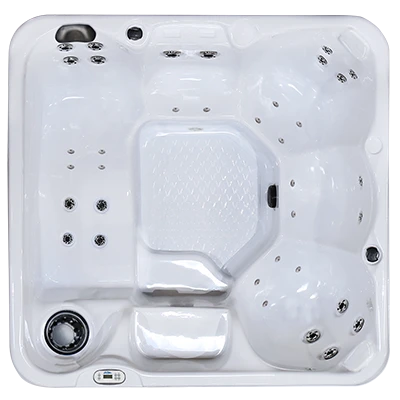 Hawaiian PZ-636L hot tubs for sale in Kalamazoo